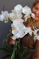 Pink Floor, storczyk w różowej donicy