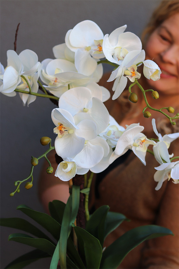 Pink Floor, storczyk w różowej donicy