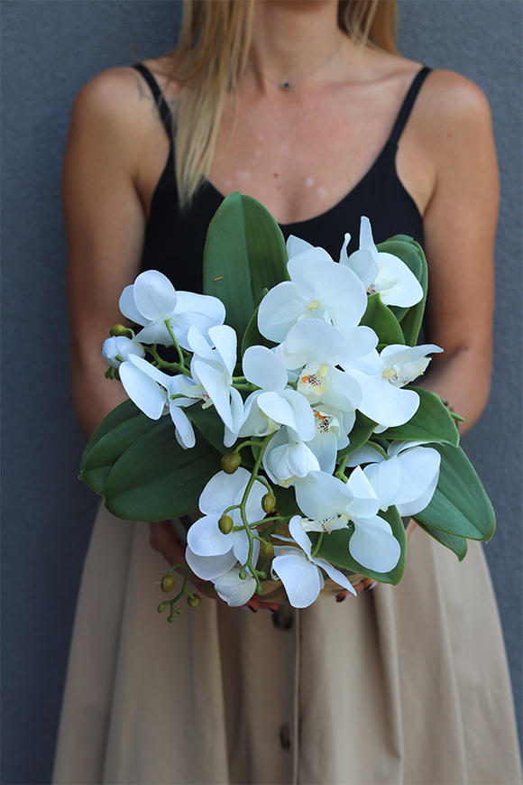 Orchidea Dorata Dekoria, kompozycja w donicy glamour