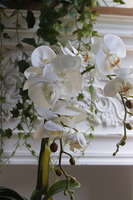 Silver Trena, sztuczny storczyk w lustrzanej donicy