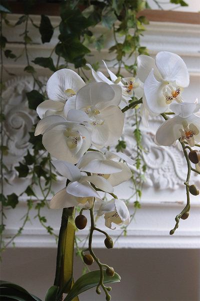 Silver Trena, sztuczny storczyk w lustrzanej donicy