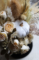 Velurowa Dynia Black, jesienny flowerbox z suszem