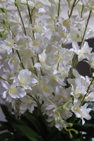 Tajlandia Modern, sztuczny storczyk w czarnej donicy