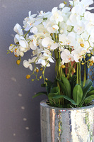 luksusowy storczyk podłogowy Explosion, Silver Mozaika