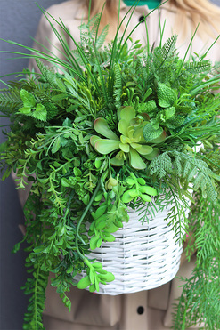 OD RĘKI Green Basket, kompozycja z ziołami w koszu, wym.50x50cm