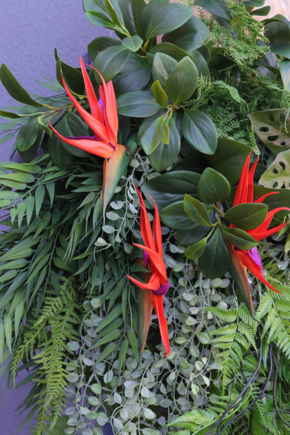 Streliziano Jungle, bogaty zielony wianek obraz