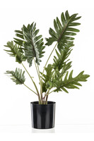 Filodendron, sztuczne drzewko w osłonce / donicy, wym.46x40x10cm