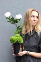 New Design Roses, nowoczesny bukiet nagrobny we wkładzie