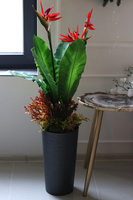 oryginalna kompozycja Strelicja Genassa Red, wym.145cm