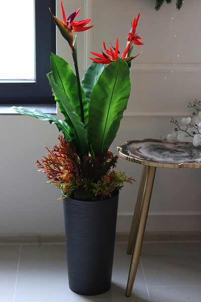 oryginalna kompozycja Strelicja Genassa Red, wym.145cm