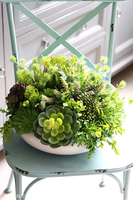 Encarna Gerrano, kompozycja sukulenty w białej misie, wym.25x35cm