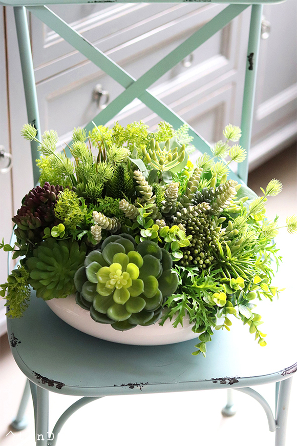 Encarna Gerrano, kompozycja sukulenty w białej misie, wym.25x35cm