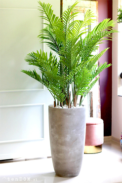 Areca Concrete, wysokiej jakości sztuczna palma w betonowej donicy, wys.190cm