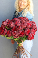 bukiet 41 bordowych róż, Rolania Bordo, dł.65cm