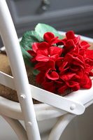 Aksamit, welurowa hortensja, czerwona, dł.61cm