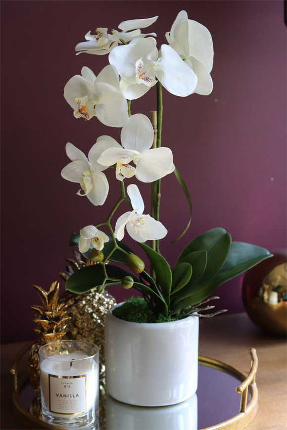 biały sztuczny storczyk, Naomi Mini White, wys.54cm