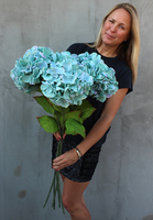 bukiet 6szt. niebiesko-morskich hortensji, Leonna, wys.98cm
