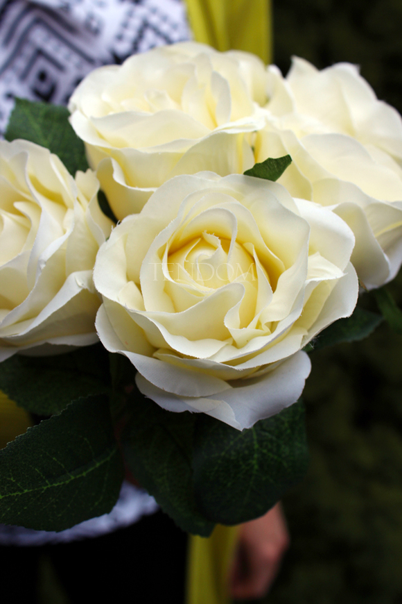 bukiet 6 szt. kremowych róż, wys.26cm