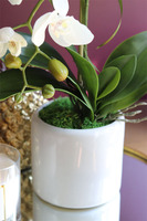 biały sztuczny storczyk, Naomi Mini White, wys.54cm