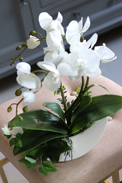 storczyk Calena Plus w donicy w kształcie księżyca, wys.40cm