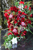 kompozycja / wiązanka nagrobna, Czerwona Nadzieja, dł.95cm 