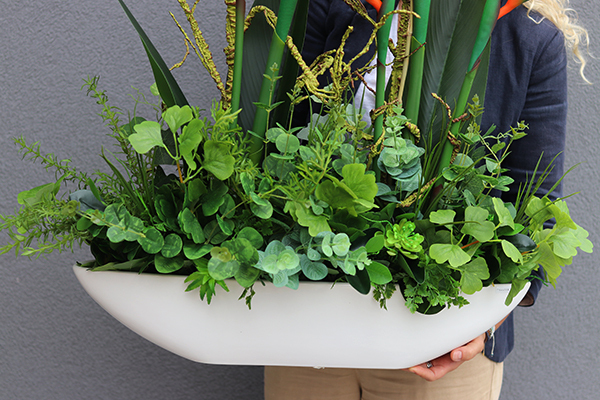 Big Laos Sukulenty & Strelicja, egzotyczna kompozycja w białej donicy, wym.82x75cm