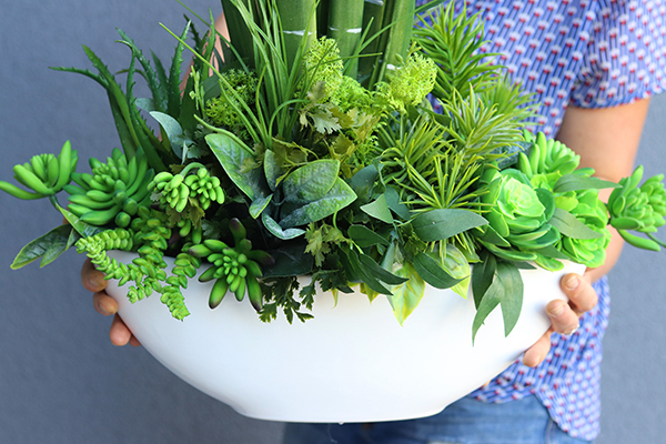 Laos Sukulenty New, egzotyczna kompozycja z sansewierią w białej donicy, wys.63cm