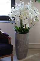 duży sztuczny storczyk Grande Concrete w betonowej donicy, wys.137cm 