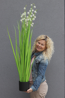 Bello 2 sztuczna trawa w osłonce, wys.120cm