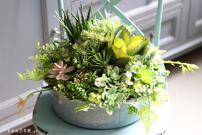 Elodia Siena, kompozycja sukulenty w eleganckiej misie, wym.30x35cm