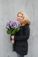 bukiet sinofioletowych hortensji wys.81cm