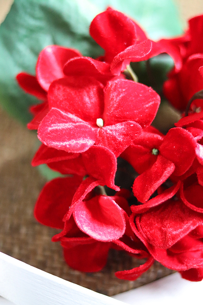 Aksamit, welurowa hortensja, czerwona, dł.61cm