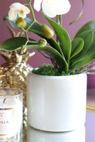 biały sztuczny storczyk, Naomi Mini White, wys.54cm