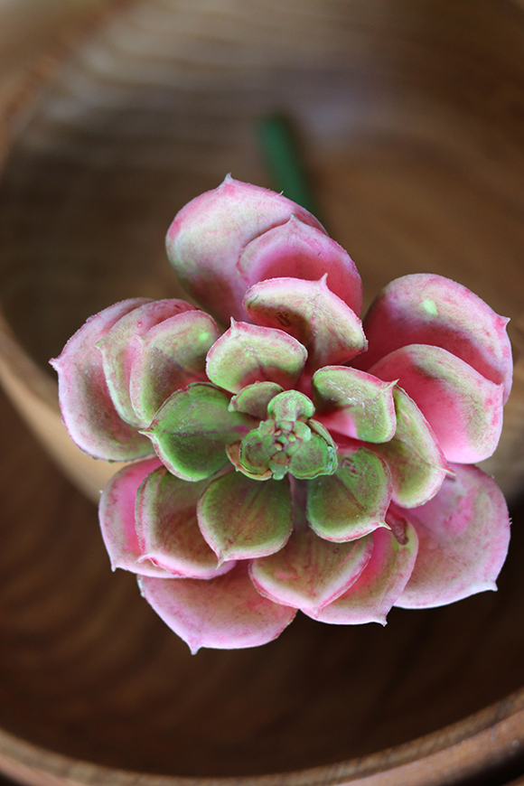 gumowa sztuczna roślina, Sukulent różowy 63,wym.10x20cm