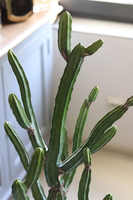 Kaktus Rio, sztuczna roślina, wys.120cm