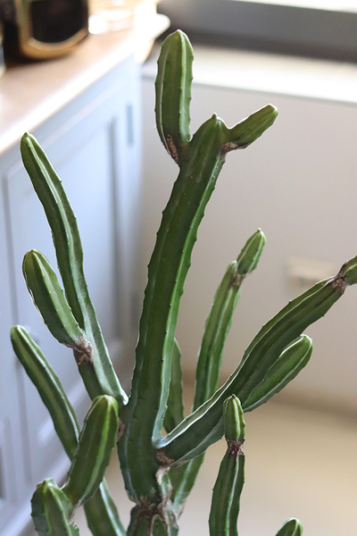 Kaktus Rio, sztuczna roślina, wys.120cm