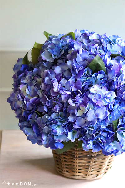 bardzo bogaty kosz hortensji, Blue Provance Azur, wym.52x48cm