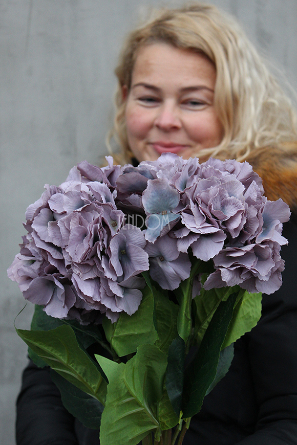 bukiet sinofioletowych hortensji wys.81cm
