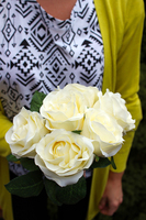 bukiet 6 szt. kremowych róż, wys.26cm