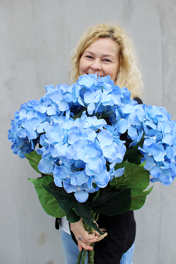 bukiet błękitnych hortensji Niebo, dł.70cm