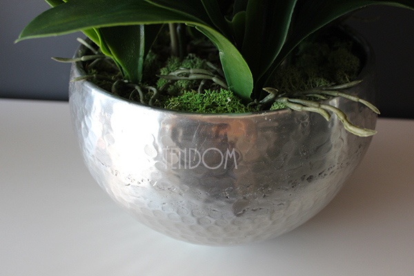 Srebrny Apartament średni storczyk w eleganckim metalowym naczyniu wys.70cm