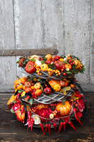 efektowny wianek Jesienne Dynie z Chilli, śr.33cm 