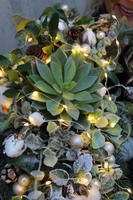 bożonarodzeniowy stroik / kompozycja Sukulent, wys.20x42x25cm 