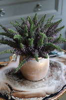 Wrzosy Gold, kompozycja w postarzanej złotej donicy, wym.28x30cm