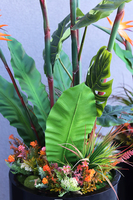 egzotyczna kompozycja, Strelicja Fiberglass Grande, wym.165cm 