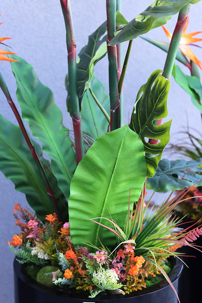 egzotyczna kompozycja, Strelicja Fiberglass Grande, wym.165cm 