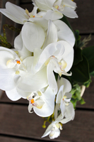 sztuczny storczyk Alina w kolorze naturalnej bieli, wys.55cm