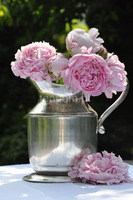 dzban cynowy Pivonia