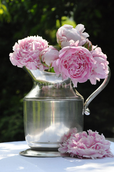 dzban cynowy Pivonia