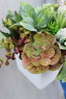 nowoczesna dekoracja w białej ceramicznej donicy Sukulenty, wys.20cm